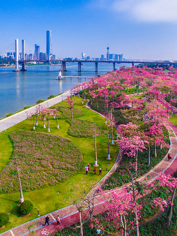 Discover: Regional Highlights at Angsana Zhuhai Hengqin